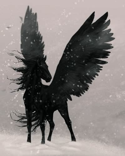 Blackjack (Pegasus) .